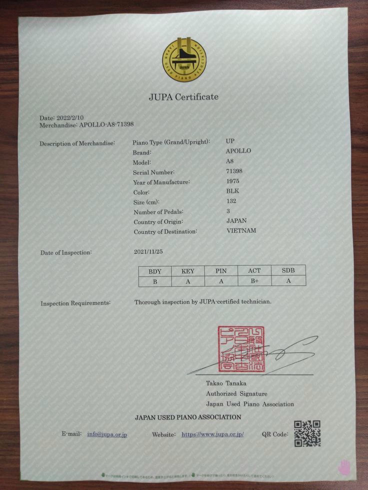 APOLLO A8 No.71398